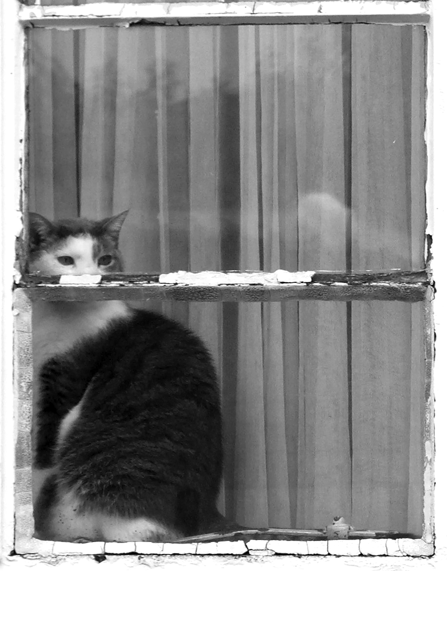 Photography by Angelicca for DesignCrowd (Community Contests) | Design #9085705