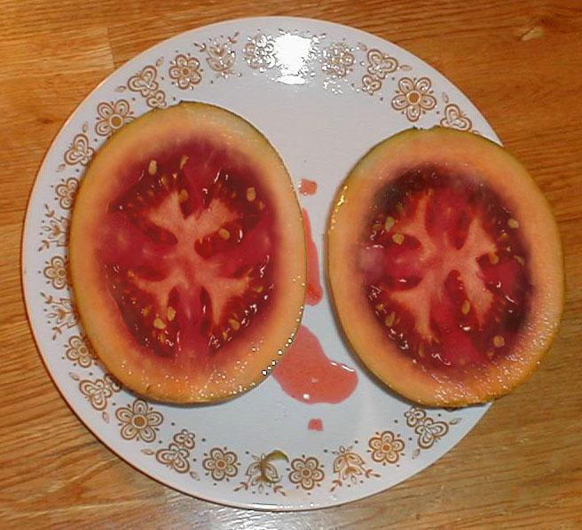 Photoshop Design by mermaidUSA for DesignCrowd (Community Contests) | Design #9081222