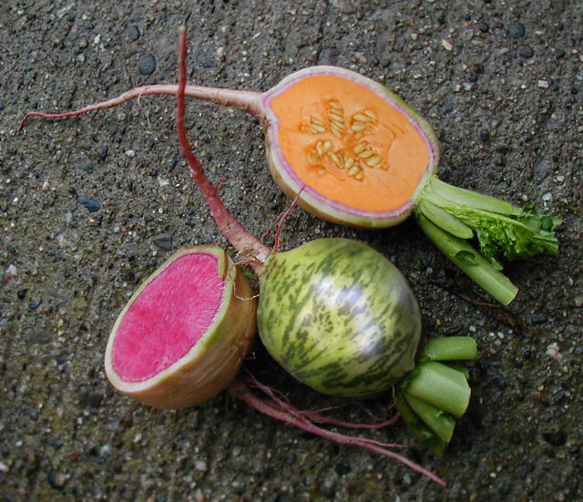 Photoshop-Design von 9bluedragons für DesignCrowd (Community Contests) | Design #9081252