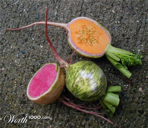 Photoshop Design by 9bluedragons