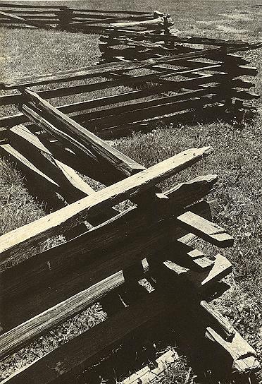 Photography by dylder for DesignCrowd (Community Contests) | Design #9082219