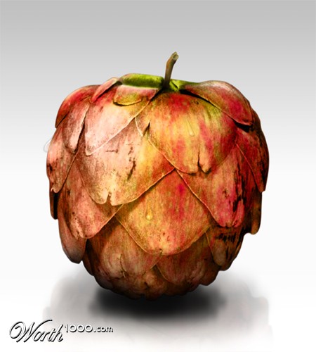 Photoshop Design by Zingaro