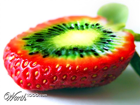 Photoshop Design by leghorn