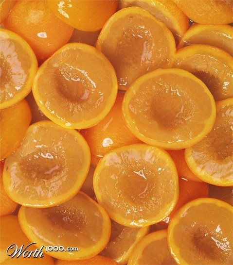 Photoshop Design by Fedorov