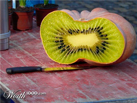 Photoshop Design by frankgf