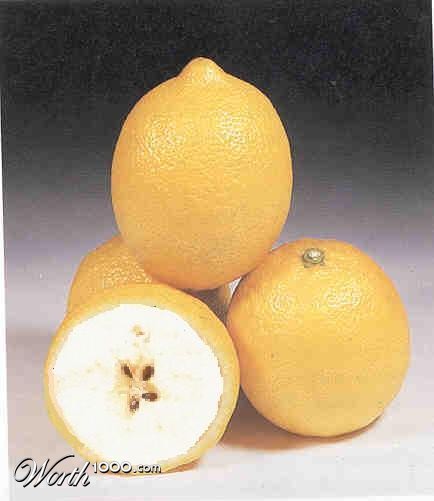 Photoshop Design by WeirdEars