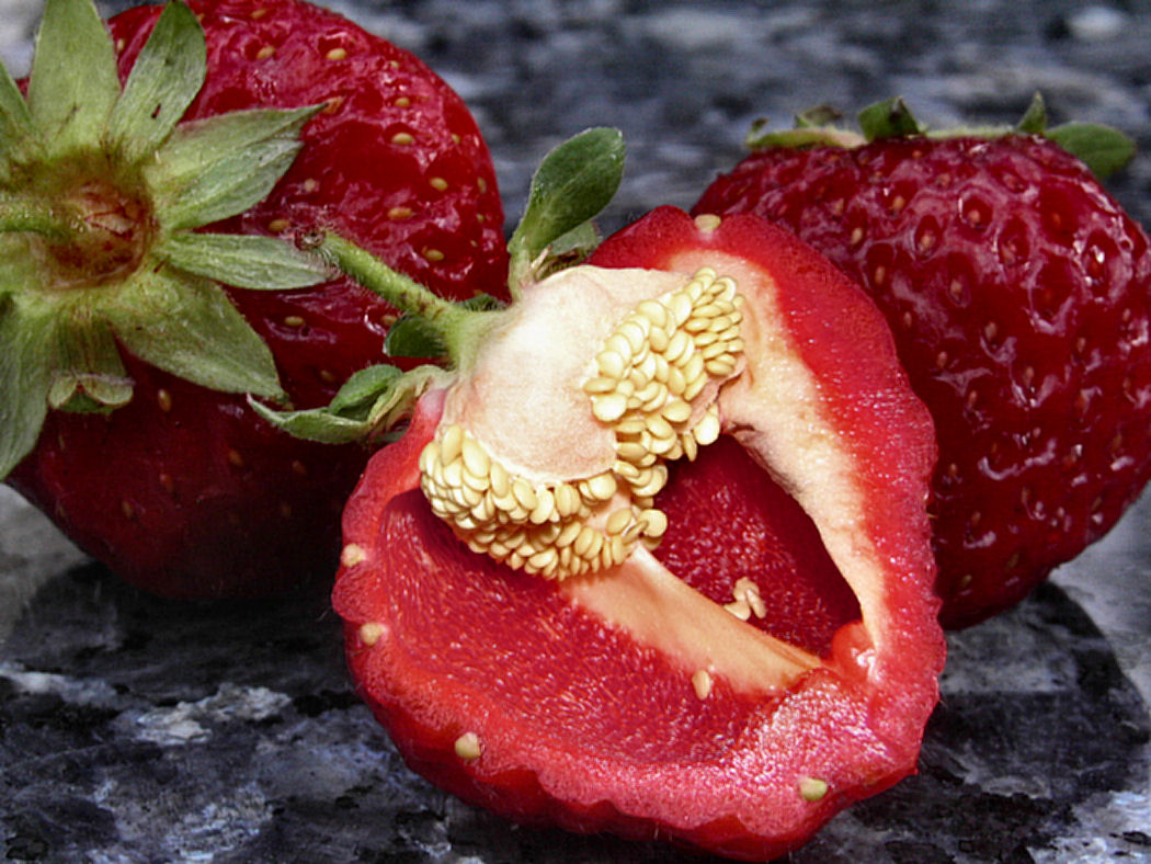 Design Photoshop par Ziaphra pour DesignCrowd (Community Contests) | Design #9081468