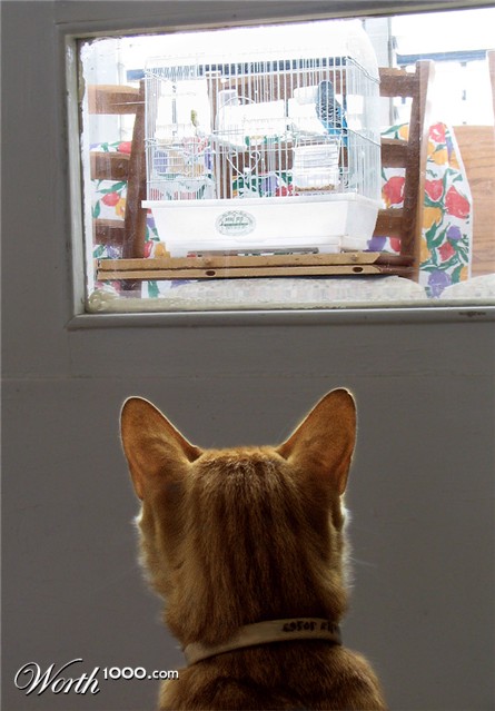Photography by Xataltul