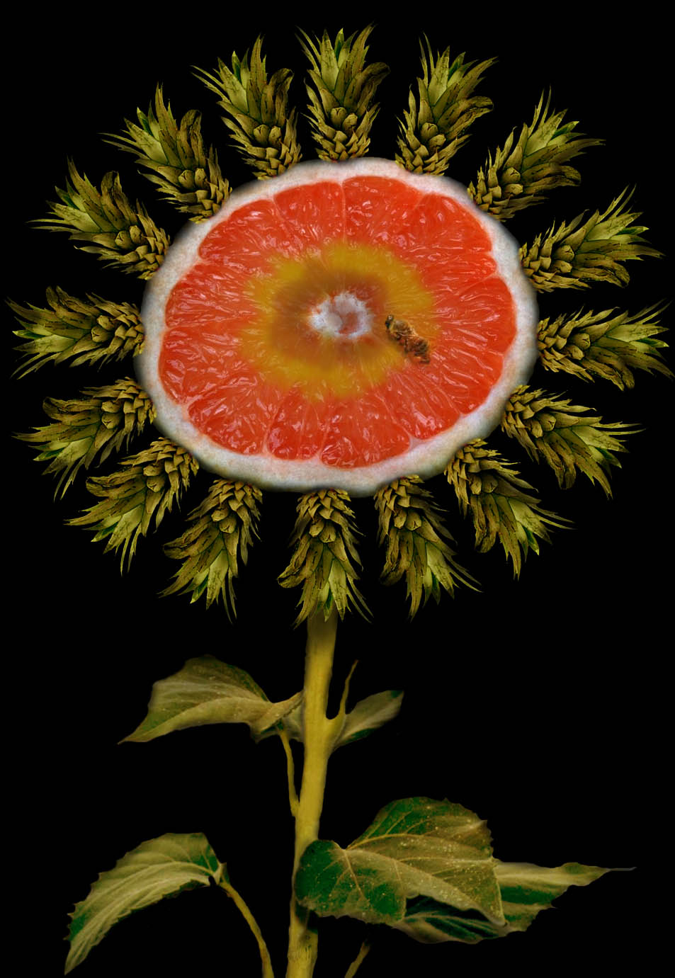 Design Photoshop par ariel9 pour DesignCrowd (Community Contests) | Design #9081538