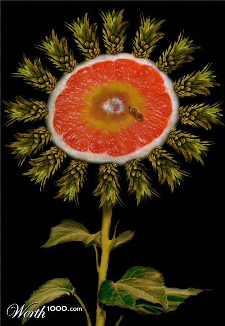 Photoshop Design by ariel9