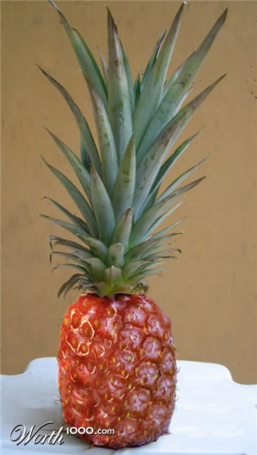 Photoshop Design by frenzsandra