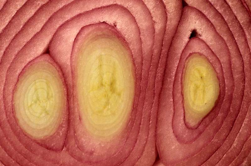 Photoshop Design by CraftLord for DesignCrowd (Community Contests) | Design #9081539