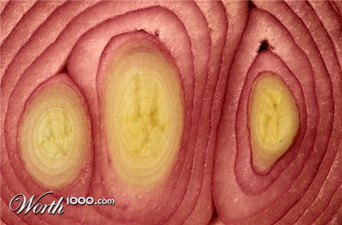 Photoshop Design by CraftLord