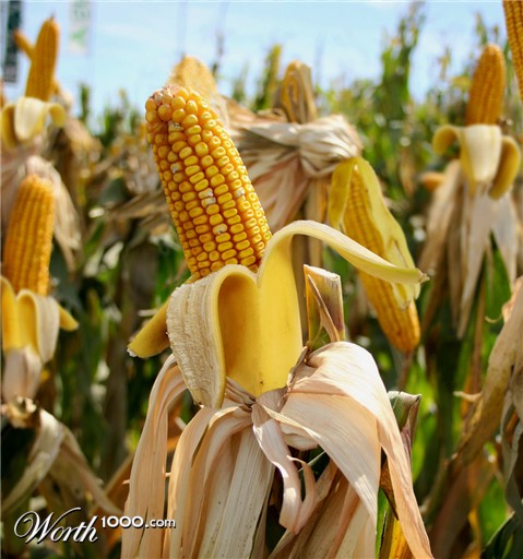 Photoshop Design by Partyshot