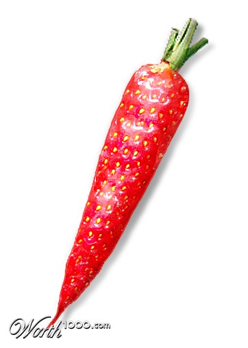 Photoshop Design by msNicole