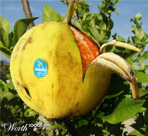 Photoshop Design by Norrit