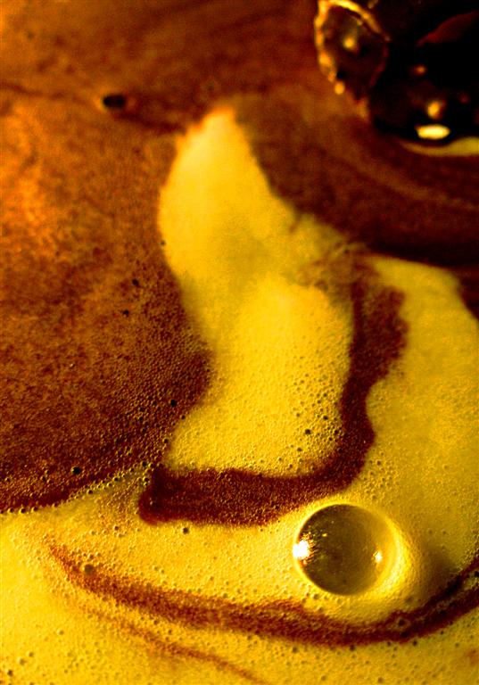 Photography by Chupakabra for DesignCrowd (Community Contests) | Design #9088074