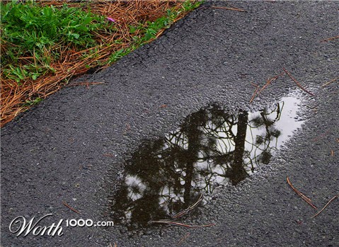 Photography by klxner