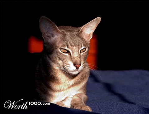 Photography by ewall53