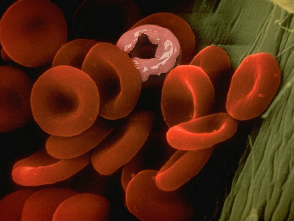 Photoshop Design by themonkeycatfish for DesignCrowd (Community Contests) | Design #9085960