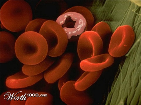 Photoshop Design by themonkeycatfish