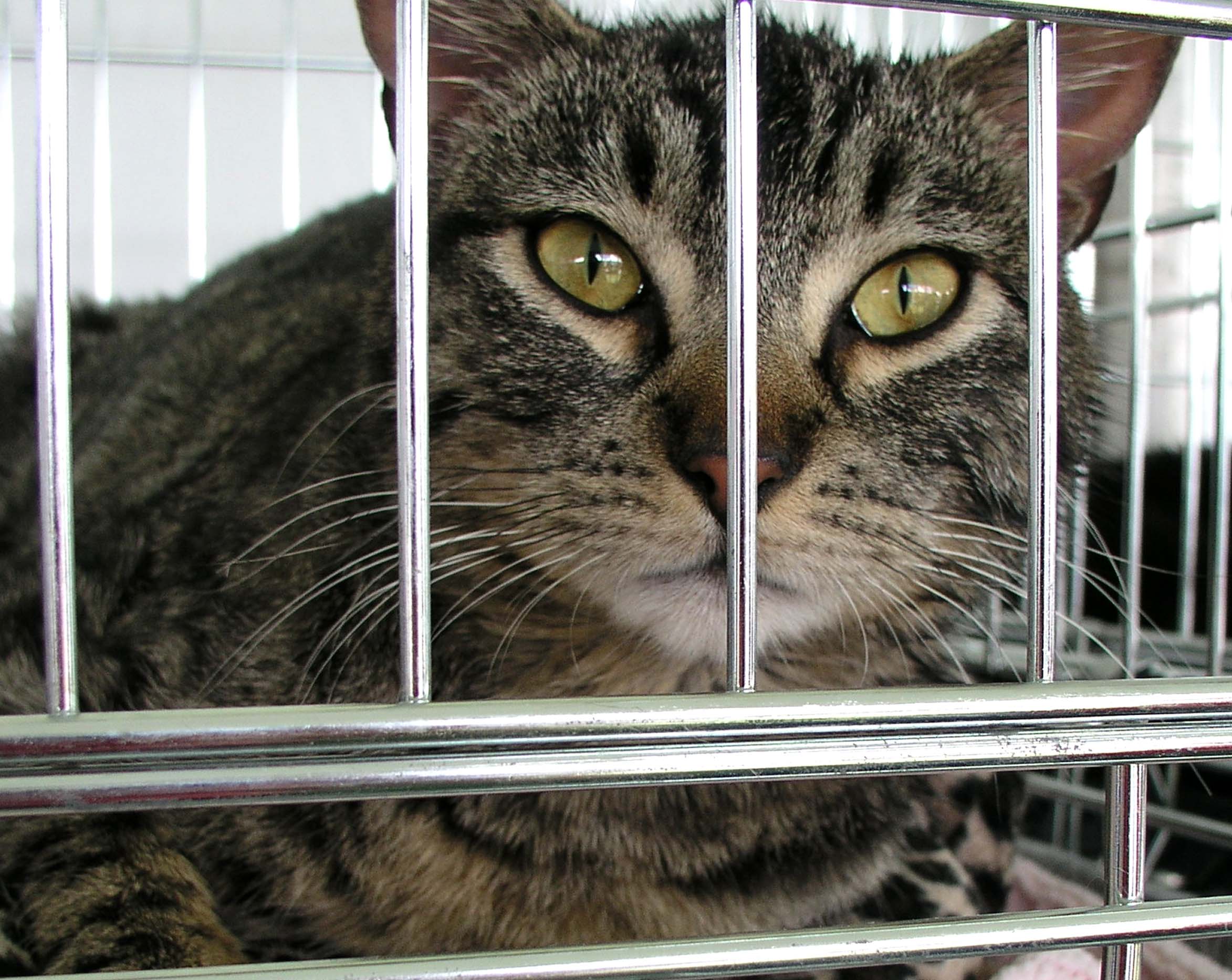 Photography by UPUPUP for DesignCrowd (Community Contests) | Design #9085684