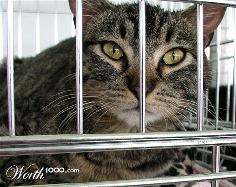 Photography by UPUPUP