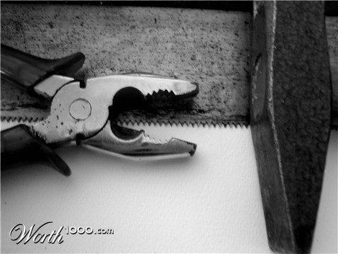 Photography by sophposh