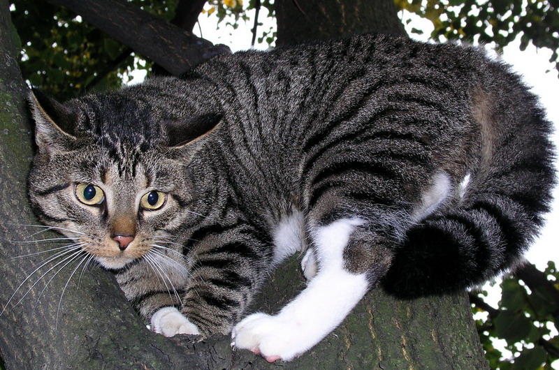 Photography by mzmzmzmz for DesignCrowd (Community Contests) | Design #9085688