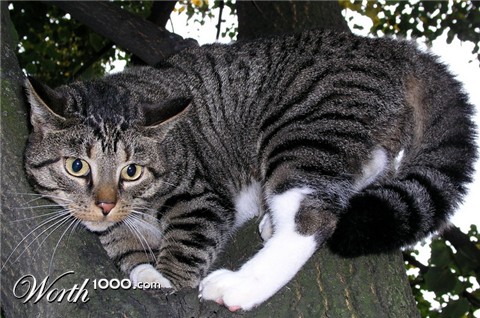 Photography by mzmzmzmz