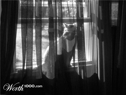 Photography by decemberstar82