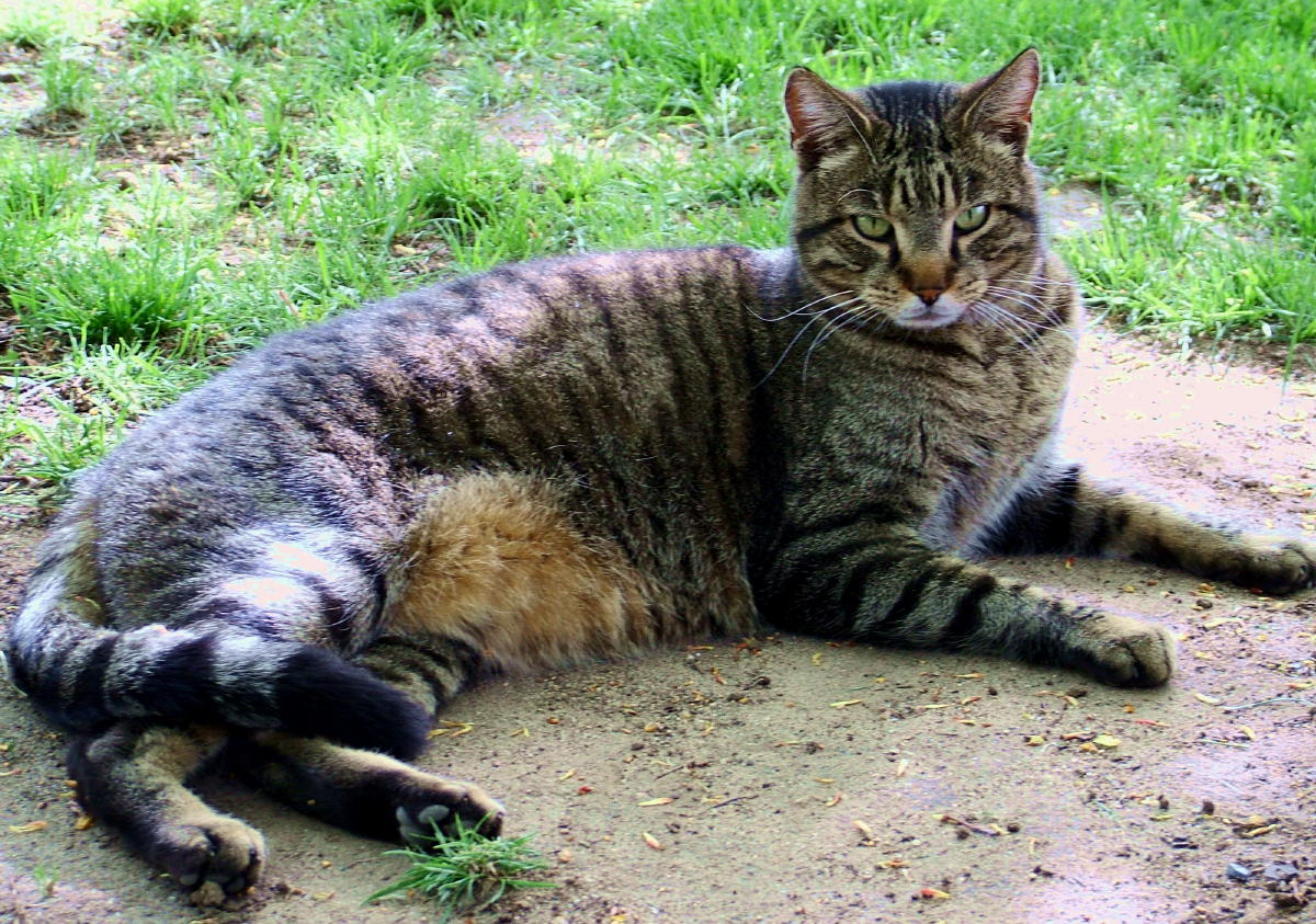 Fotografie von mmc9496 für DesignCrowd (Community Contests) | Design #9085751