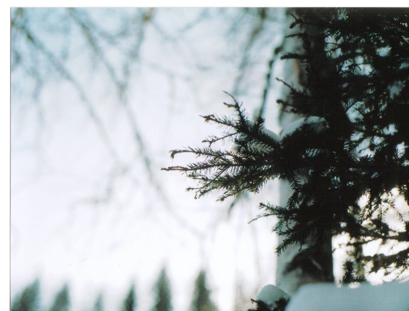 Fotografía por Thetick3 para DesignCrowd (Community Contests) | Diseño #9087827