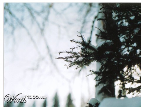 Photography by Thetick3