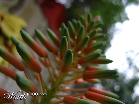 Photography by reagp1