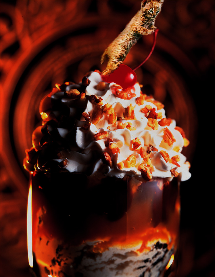 Photoshop Design by bingobaby for DesignCrowd (Community Contests) | Design #9086071