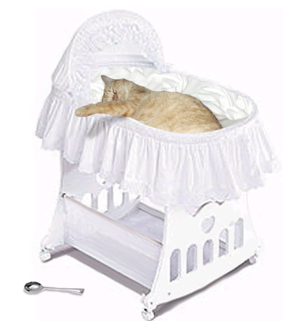 Design Photoshop par JoeyGio pour DesignCrowd (Community Contests) | Design #9084384