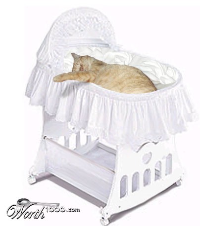 Photoshop Design by JoeyGio