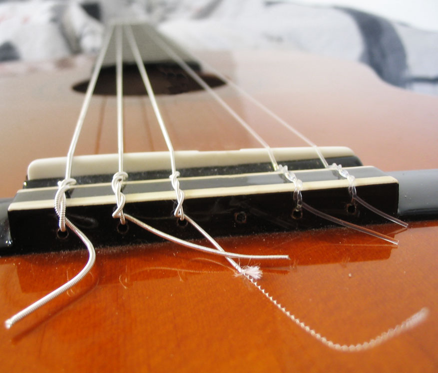 Photoshop Design by Assja for DesignCrowd (Community Contests) | Design #9084409