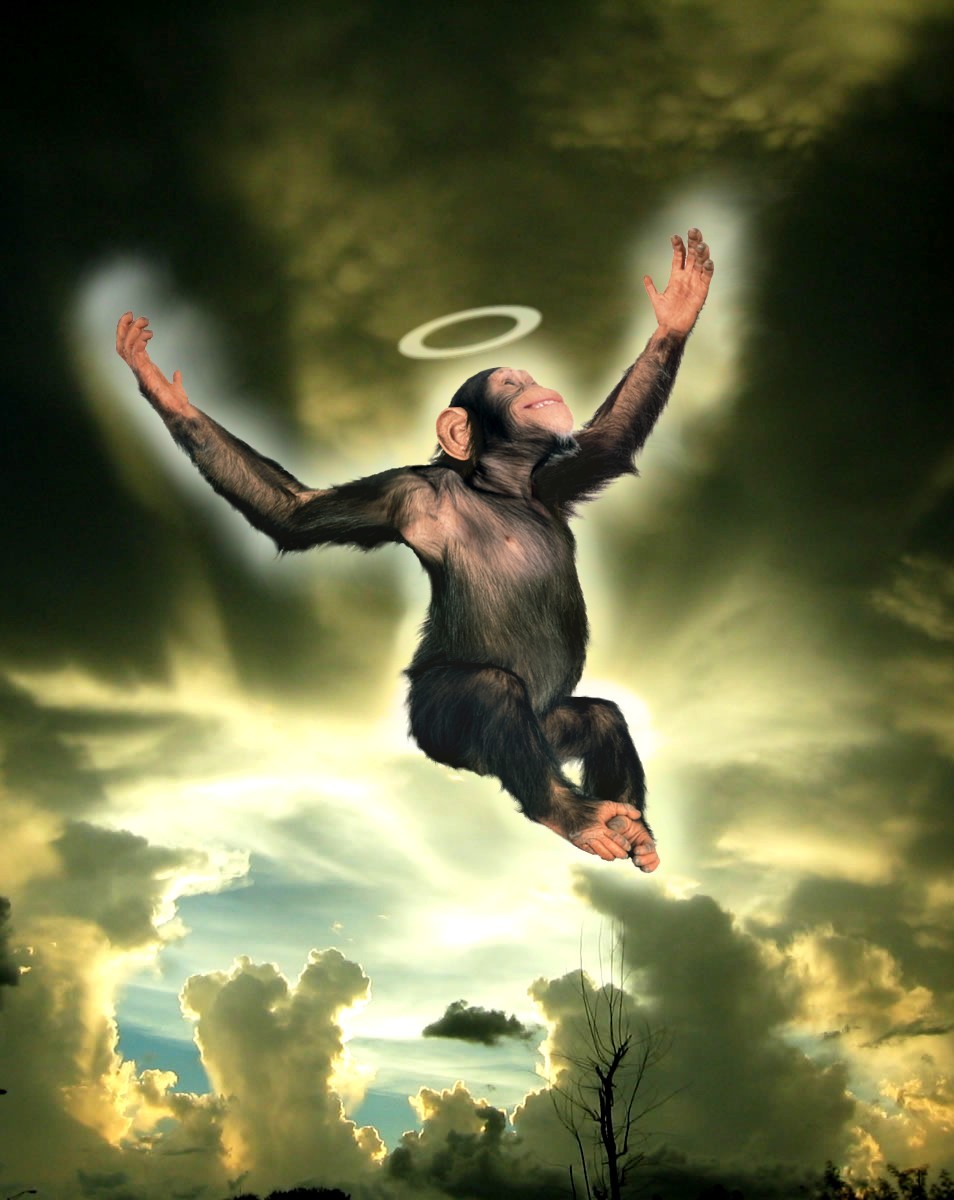 Photoshop Design by RandomAssembly for DesignCrowd (Community Contests) | Design #9084449