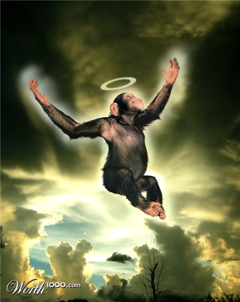 Photoshop Design by RandomAssembly