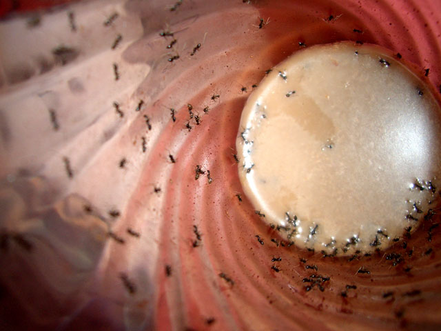 Photography by vipez for DesignCrowd (Community Contests) | Design #9079665