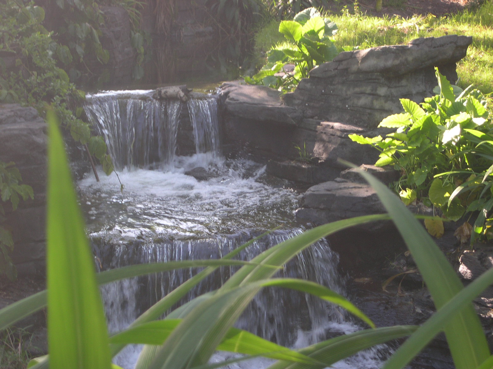 Photography by coolpix2 for DesignCrowd (Community Contests) | Design #9088156