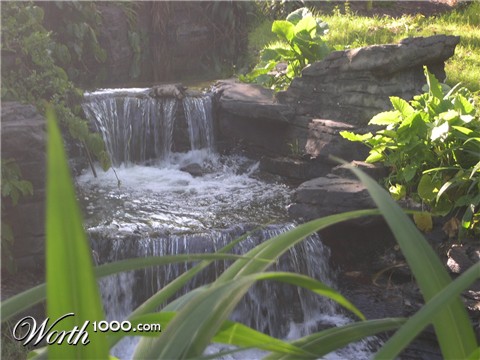 Photography by coolpix2