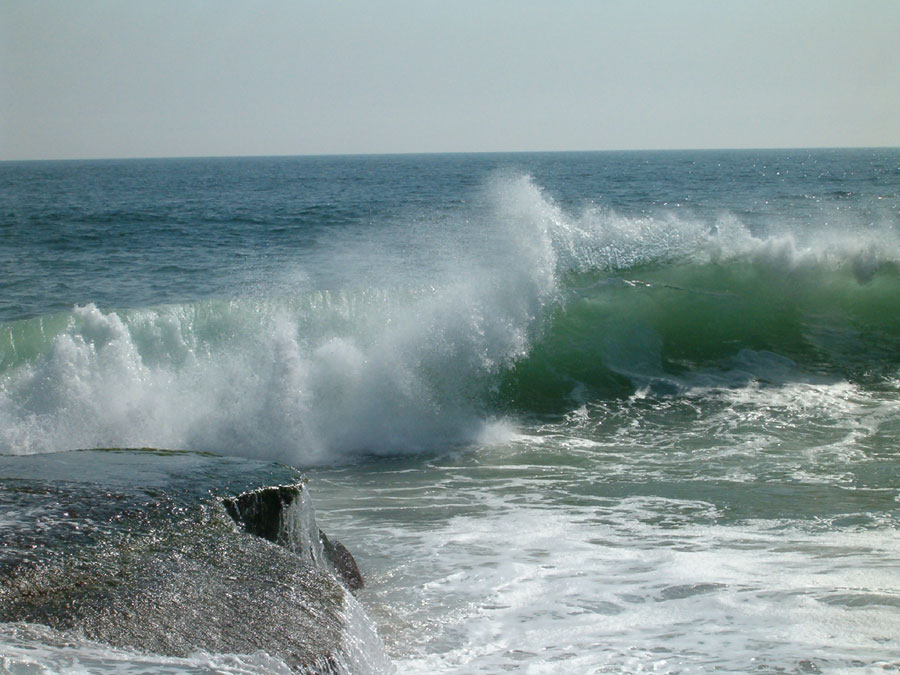 Photography by Ivor121 for DesignCrowd (Community Contests) | Design #9088127