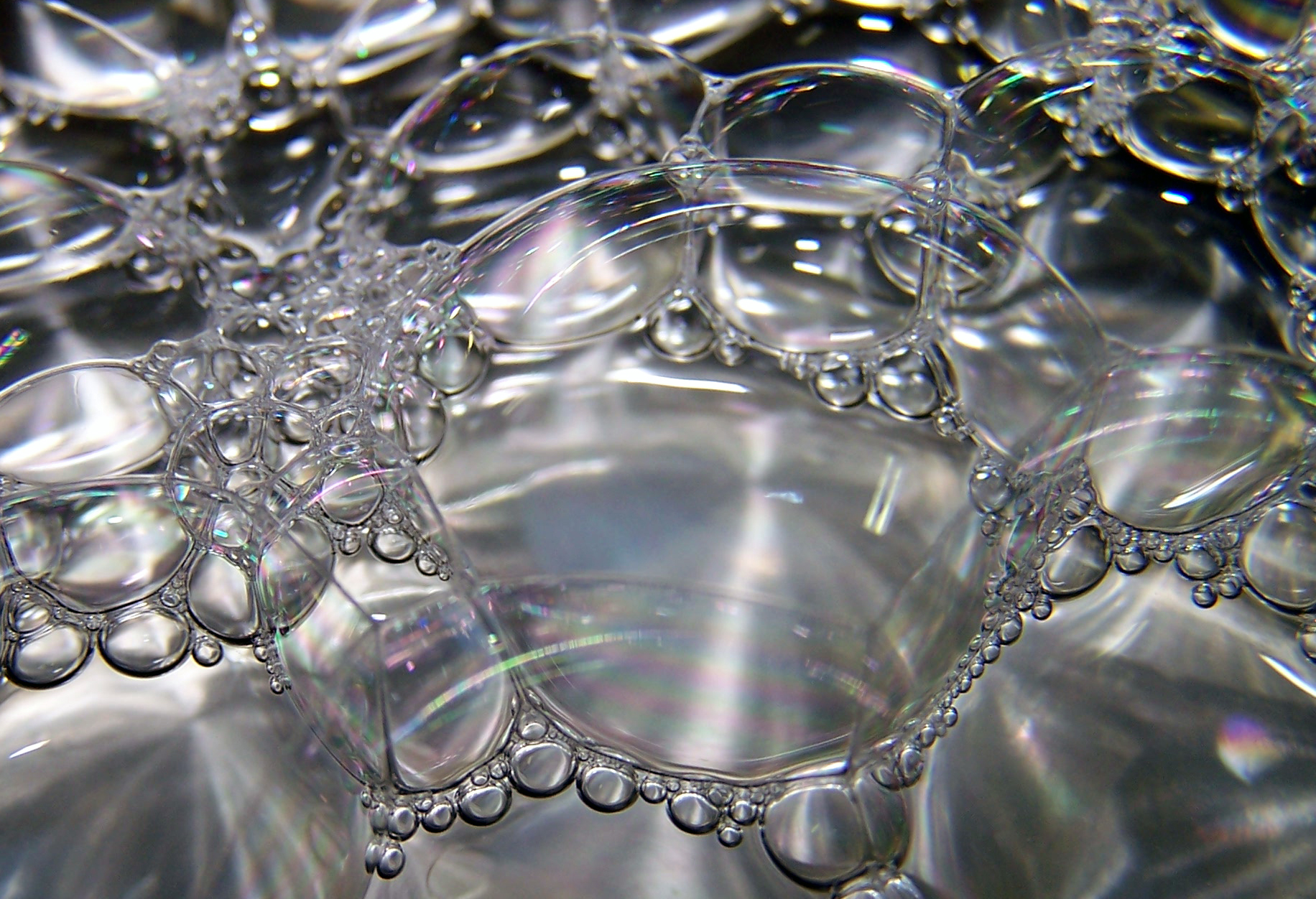 Photography by jamairoboo for DesignCrowd (Community Contests) | Design #9088146