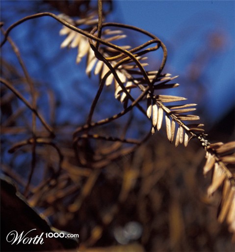 Photography by WingiedChaos