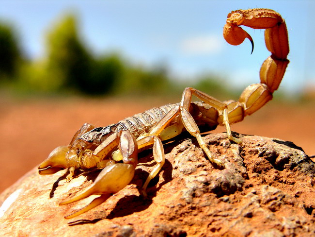 Photography by Mohave for DesignCrowd (Community Contests) | Design #9087930