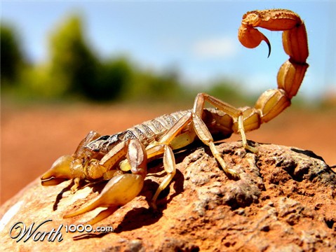 Photography by Mohave