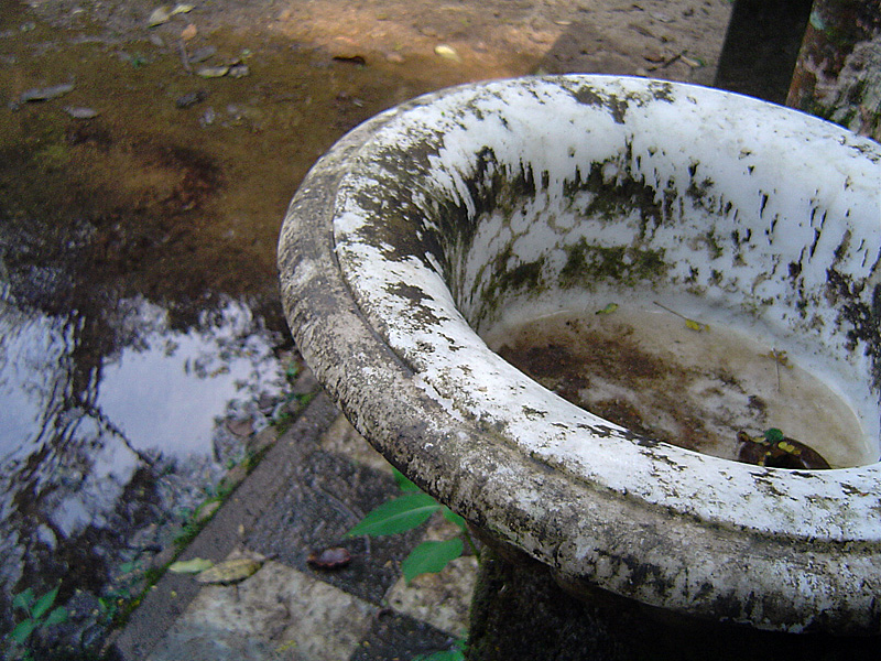 Photography by pedronurmi for DesignCrowd (Community Contests) | Design #9087921